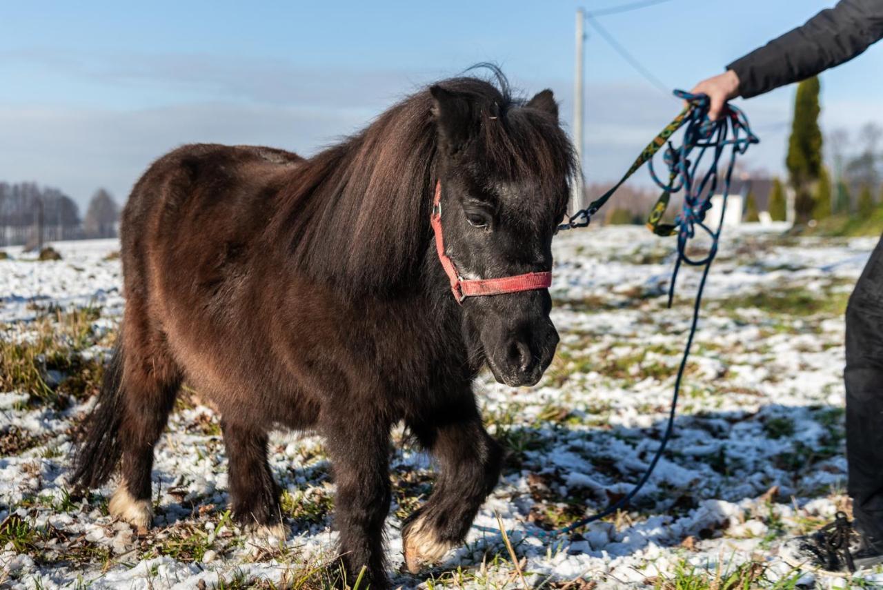 Orzechowa Ostoja Noclegi Energylandia Bachowice Buitenkant foto