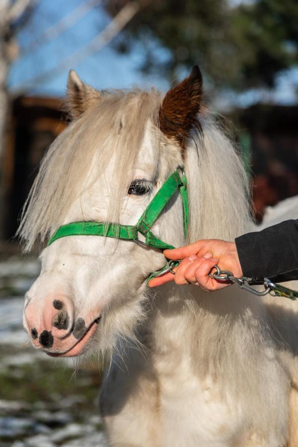Orzechowa Ostoja Noclegi Energylandia Bachowice Buitenkant foto