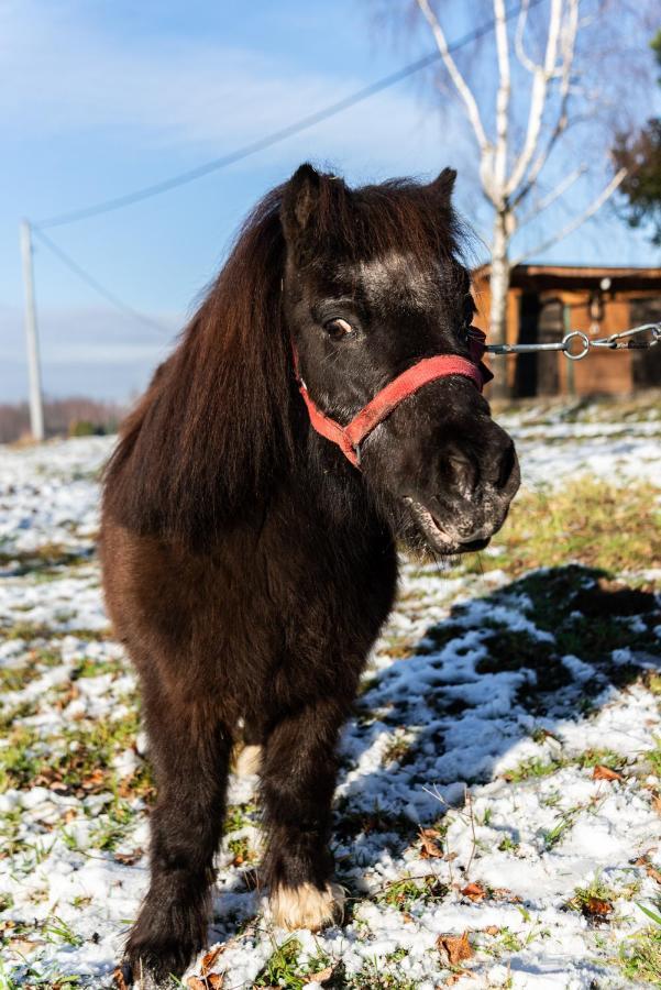 Orzechowa Ostoja Noclegi Energylandia Bachowice Buitenkant foto