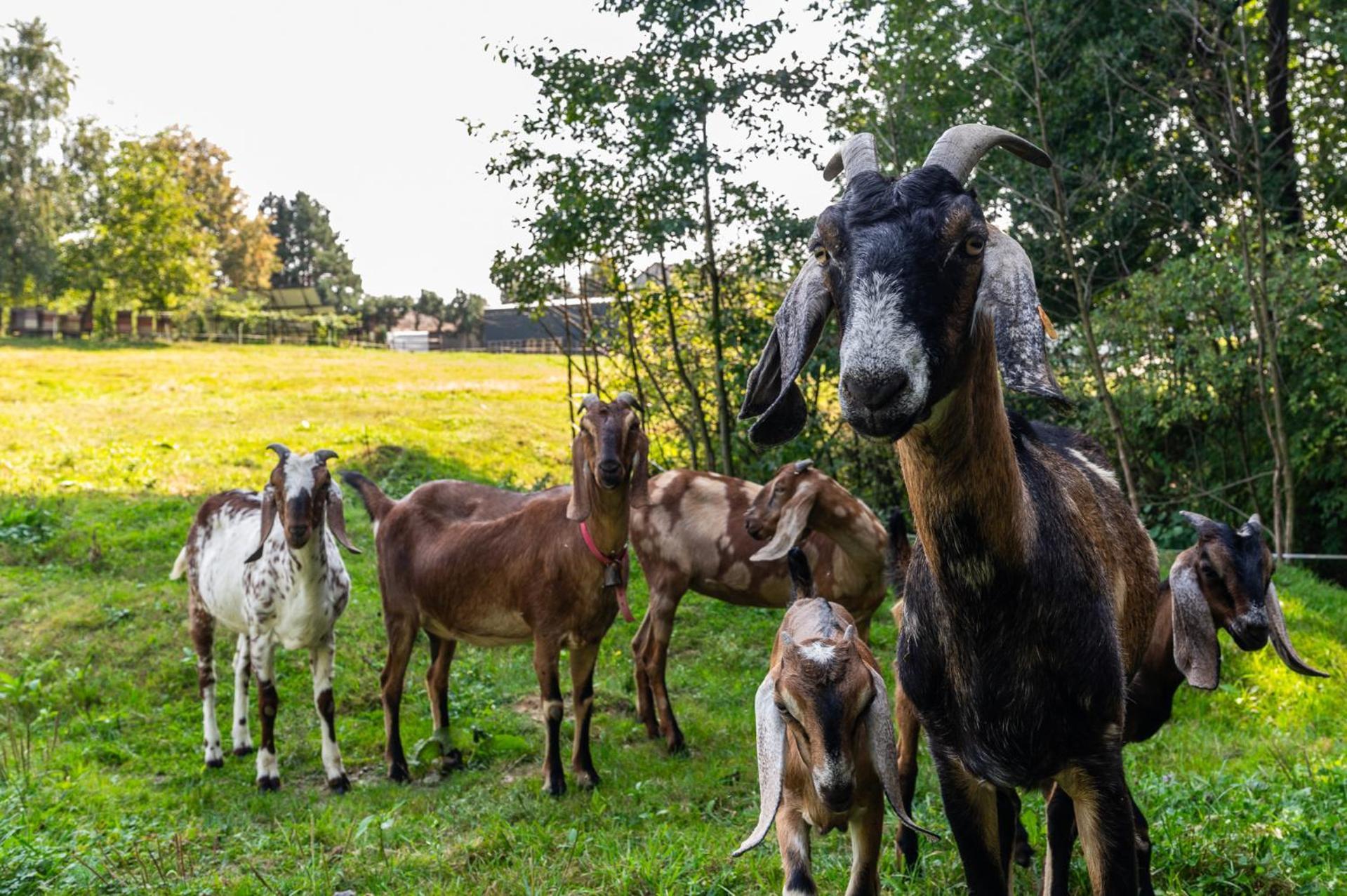 Orzechowa Ostoja Noclegi Energylandia Bachowice Buitenkant foto